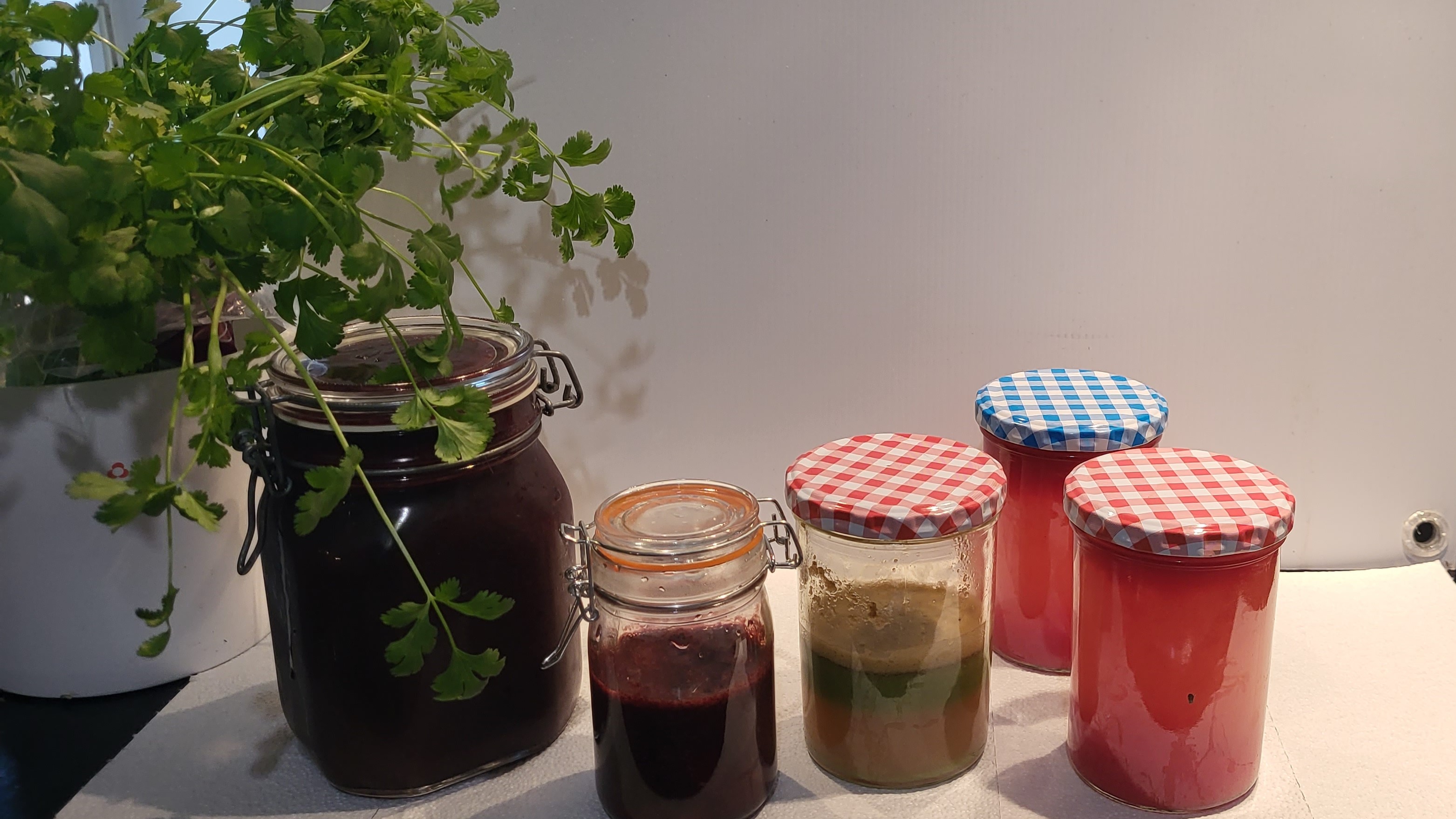 shots und smoothie